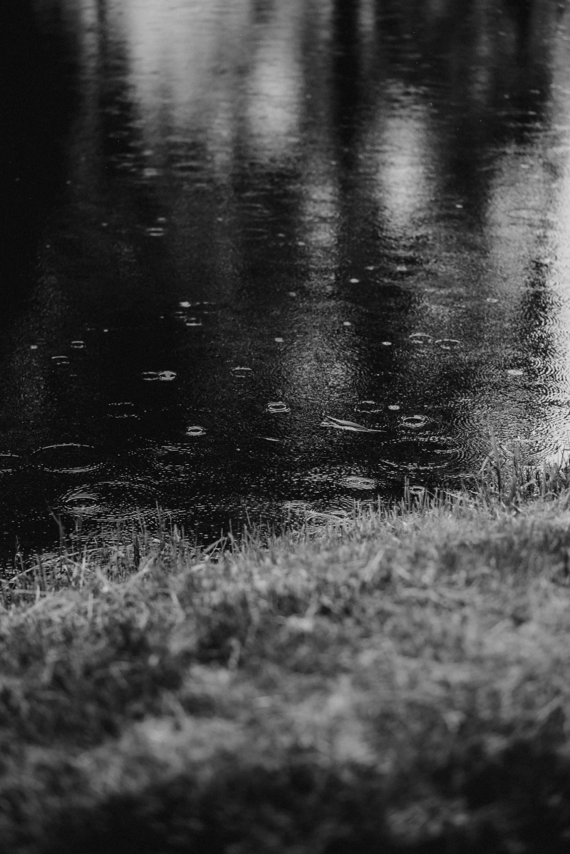 image00030